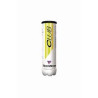 TUBE 4 BALLES TECNIFIBRE CLUB