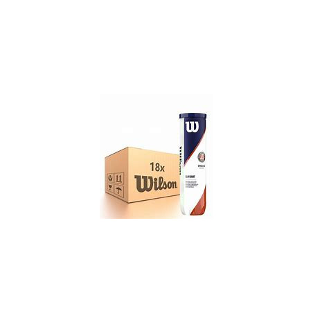 CARTON BALLES WILSON ROLAND GARROS CLAY 4B