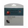 GARNITURE KIRSCHBAUM BLACK SHARK (6 M)