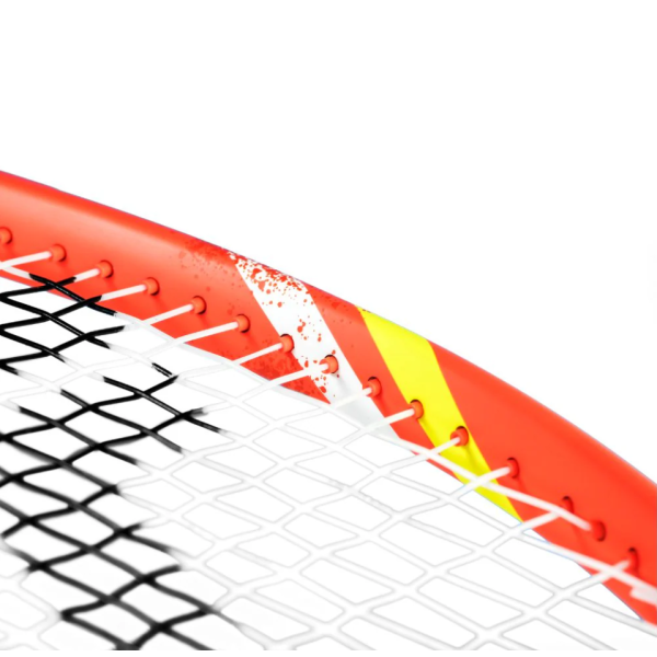 RAQUETTE TECNIFIBRE TFIGHT 300 IG