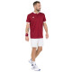 POLO TECNIFIBRE TEAM MESH