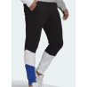 PANTALON ADIDAS FUTURE ICONS COLORBLOCK