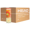 CARTON HEAD 24 TUBES 3B STAGE 2-ORANGE