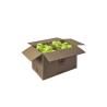 CARTON DE 36 BALLES TRINITI CLUB